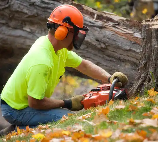 tree services Pleasant Valley